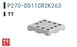 P270-DS11CR2K263