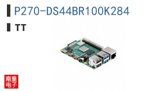 P270-DS44BR100K284