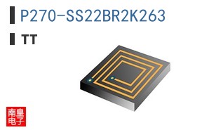P270-SS22BR2K263