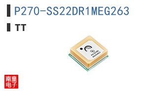 P270-SS22DR1MEG263