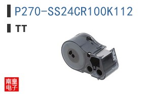 P270-SS24CR100K112