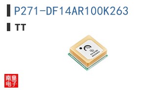 P271-DF14AR100K263