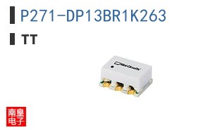P271-DP13BR1K263