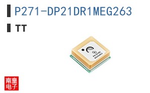 P271-DP21DR1MEG263