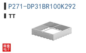 P271-DP31BR100K292
