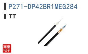 P271-DP42BR1MEG284