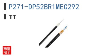 P271-DP52BR1MEG292
