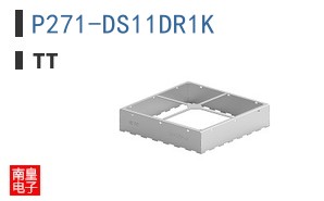 P271-DS11DR1K