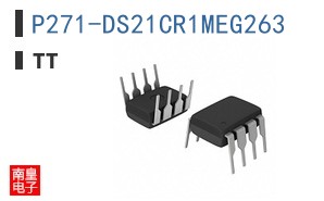 P271-DS21CR1MEG263