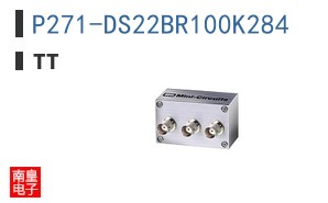 P271-DS22BR100K284