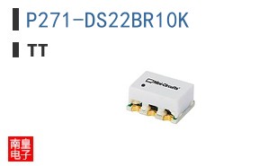 P271-DS22BR10K