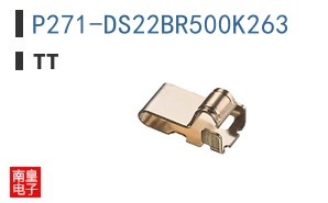 P271-DS22BR500K263