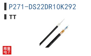 P271-DS22DR10K292