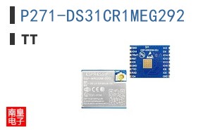 P271-DS31CR1MEG292