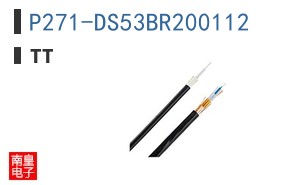 P271-DS53BR200112