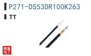 P271-DS53DR100K263