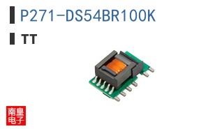 P271-DS54BR100K
