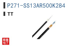 P271-SS13AR500K284
