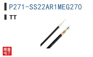 P271-SS22AR1MEG270