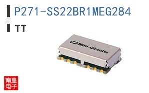 P271-SS22BR1MEG284