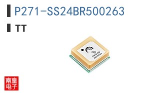 P271-SS24BR500263