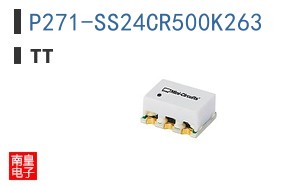 P271-SS24CR500K263