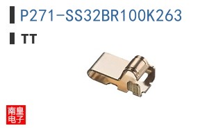 P271-SS32BR100K263
