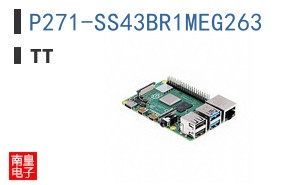 P271-SS43BR1MEG263