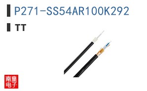 P271-SS54AR100K292