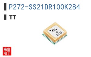 P272-SS21DR100K284