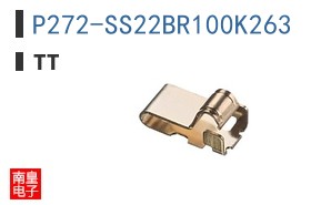 P272-SS22BR100K263