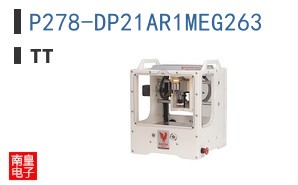 P278-DP21AR1MEG263