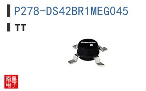 P278-DS42BR1MEG045