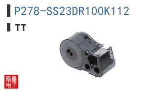 P278-SS23DR100K112