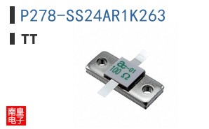 P278-SS24AR1K263