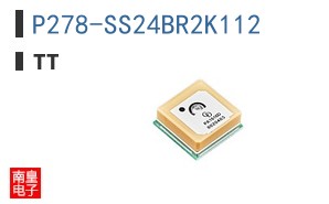 P278-SS24BR2K112