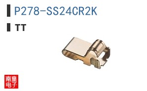 P278-SS24CR2K