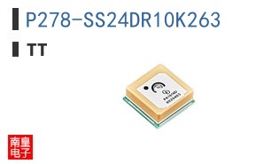 P278-SS24DR10K263