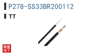 P278-SS33BR200112