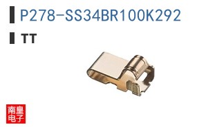P278-SS34BR100K292