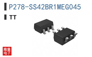 P278-SS42BR1MEG045