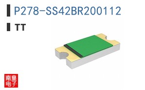 P278-SS42BR200112