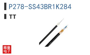 P278-SS43BR1K284