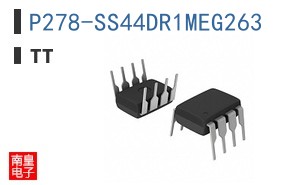 P278-SS44DR1MEG263