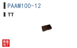 PAAM100-12
