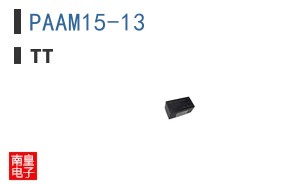 PAAM15-13