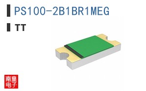 PS100-2B1BR1MEG