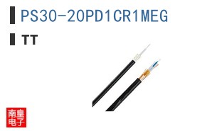 PS30-20PD1CR1MEG