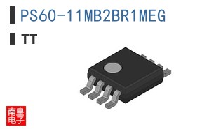 PS60-11MB2BR1MEG