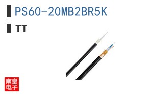 PS60-20MB2BR5K